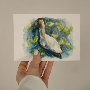 Schwan Aquarell